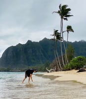 Kaaawa Beach Park